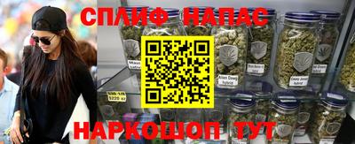 spice Гагарин