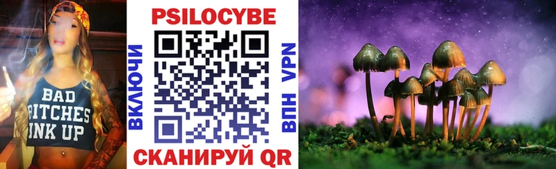 как найти закладки  Керчь  ссылка на мегу зеркало  Псилоцибиновые грибы MAGIC MUSHROOMS 