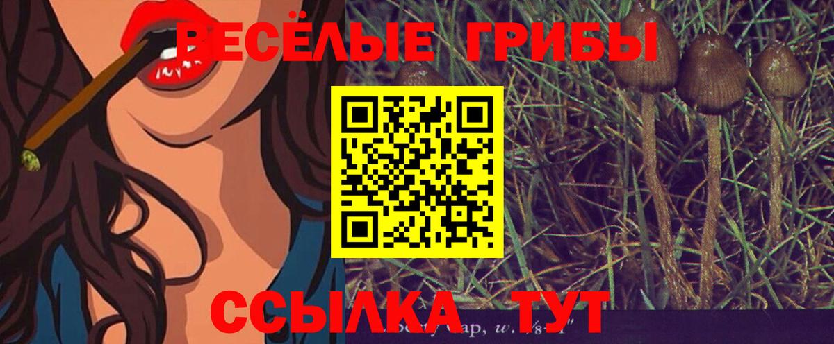 Керчь  Псилоцибиновые грибы MAGIC MUSHROOMS  Псилоцибиновые грибы Psilocybe  Вход с VPN 